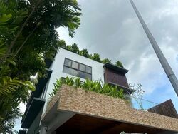 Dunearn Road (D11), Semi-Detached #512394641